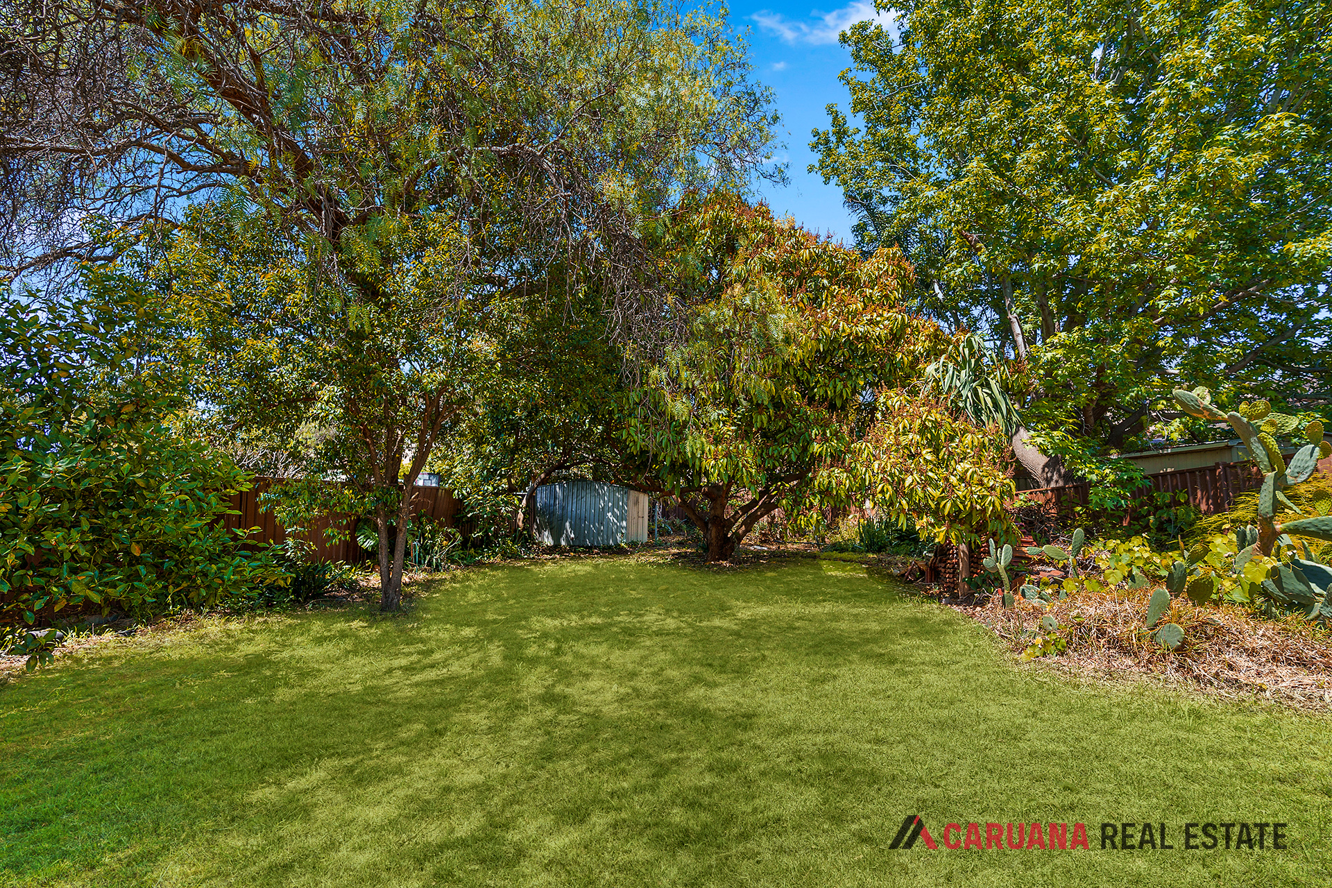 8. Backyard