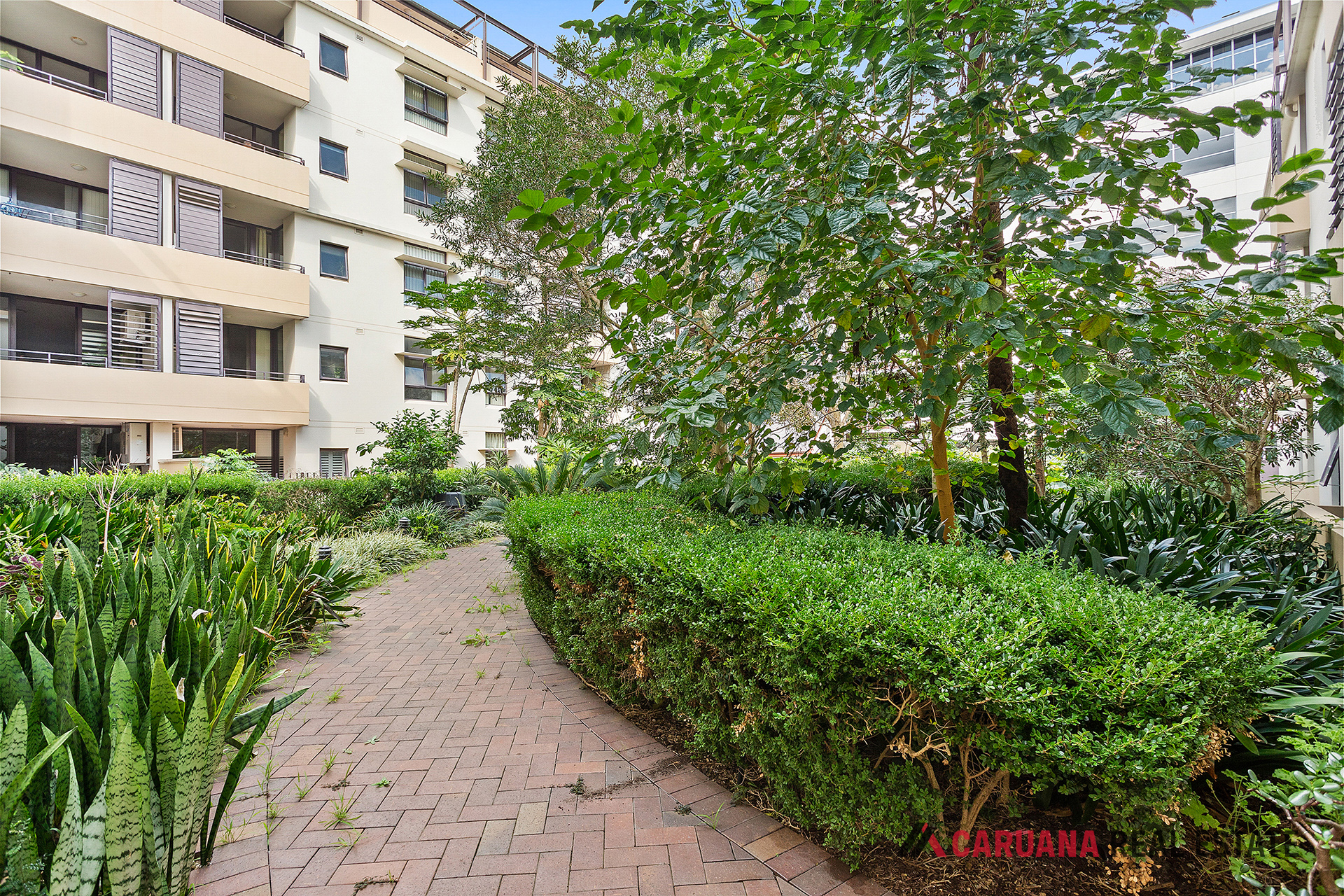 5/15-19 Belgrave Street, Kogarah NSW 2217, Kogarah - Thumbnail 2