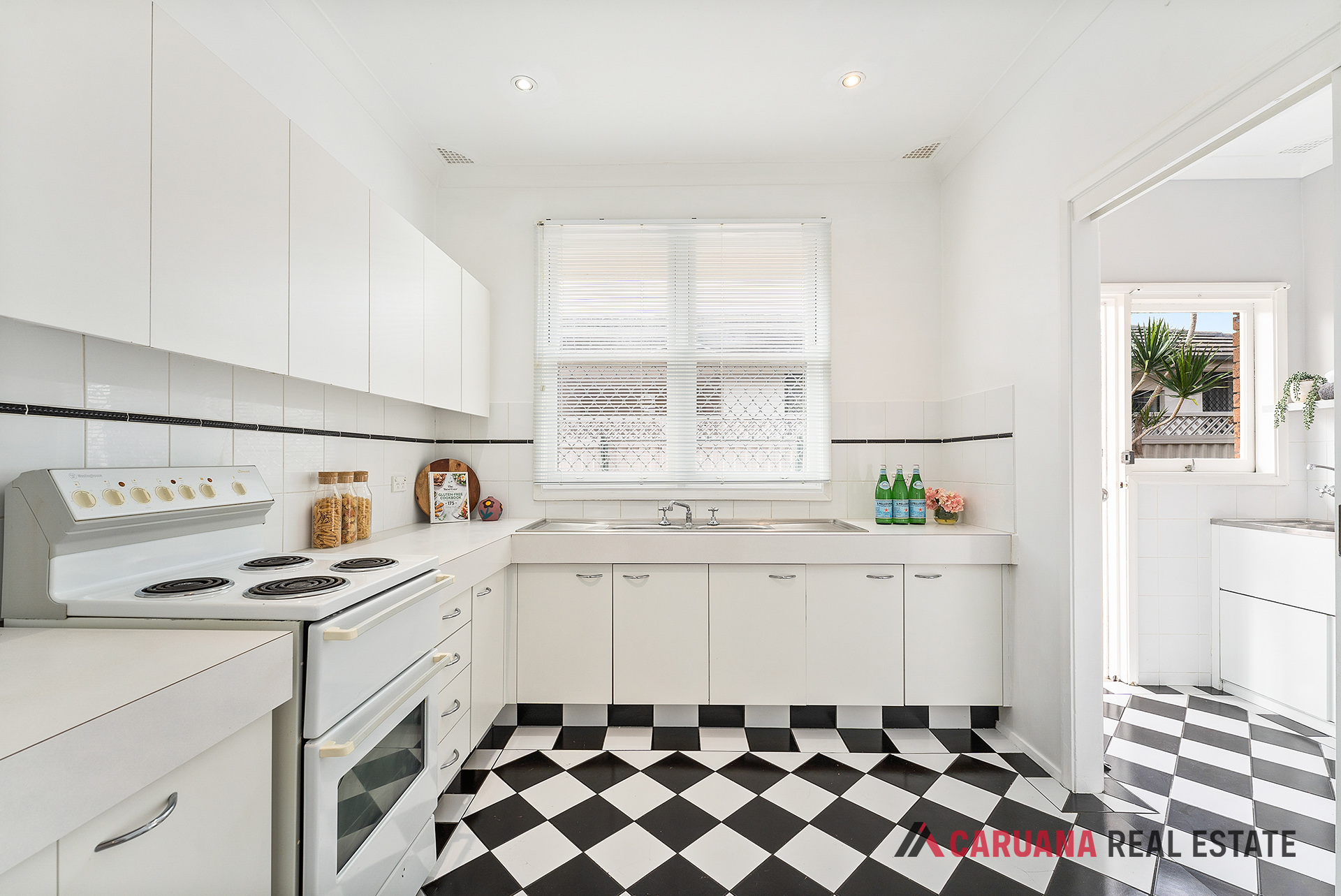 LowRes-10409_2 46 Fontainebleau Street Sans Souci_100_133